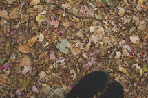 feet standing in fall leaves 