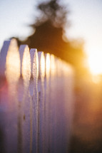 White picket fence at sunset.