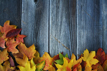 fall leaves on a gray wood background 