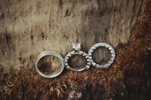 Wedding bands and engagement ring lined up next to a tree trunk