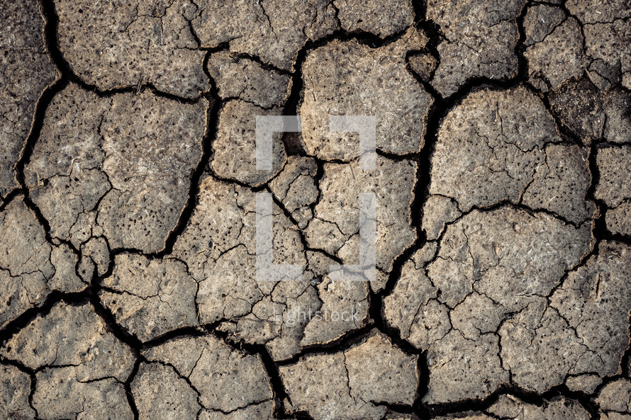 Dry cracked surface, parched land. Earth, dirt, texture background. Ground wallpaper. Desert patterns. Drought soil. High quality photo