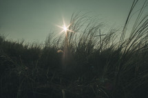 sunburst over tall grass in a field and a cross 
