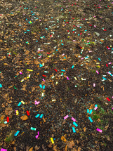 confetti on the ground 
