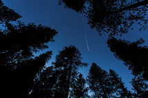 rocket streak in the sky and trees 
