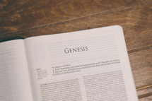 Bible opened to Genesis 