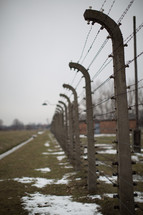 barbed wire fence at Auschwitz