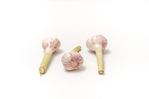 Three garlic with a stem on a white isolated background with copy space