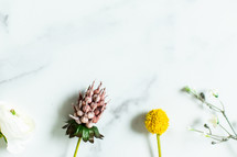 flowers against a marble background 