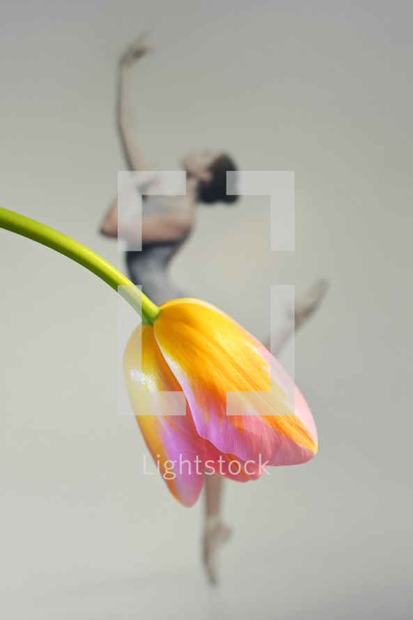 Abstract Beautiful Ballerina Dancing Wearing Skirt from Tulip Flower