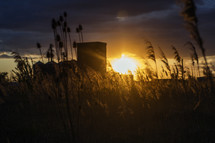 sunburst behind a field of tall grass 