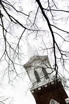  church steeple through branches 