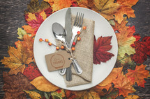 Thanksgiving place setting 
