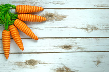 carrot decorations on white wood boards 