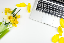 daffodils, petals, bouquet, computer, keyboard, white background, spring 