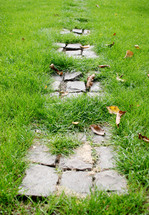 over grown grass on a stone pathway