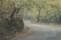 curve in a rural road 