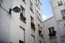 flower boxes in windows in Paris 