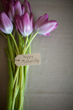 tulips for mothers day 