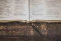 An open Bible and bookmark on wood