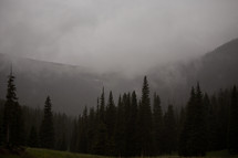 fog and clouds over a mountain forest 