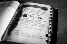 Matrimony record in an old Bible 