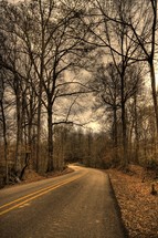 winter trees and a rural road 