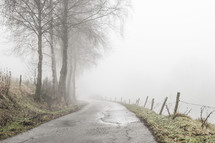 a narrow rural road in fog 