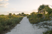 trail over sand dunes 