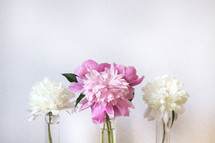 pink and white flowers in vases on a white background 