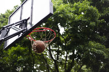 backyard basketball 