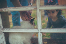 a toddler girl approaching a cat in a window 