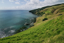 green hills along a coastline 