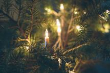 white lights on a Christmas tree 