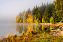 Autumn lake in Romania in fall 