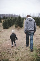 father, son, man, outdoors, boy, Christmas tree lot, Christmas, Christmas trees 