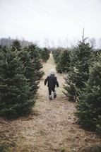a toddler boy running in a Christmas tree lot 