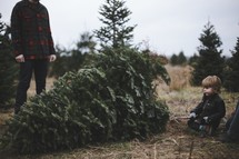 father and son in a Christmas tree lot 