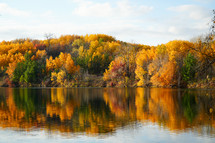 Fall Landscape 