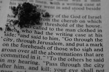 ashes on the pages of a Bible with scripture for Ash Wednesday - "and said to him, go through the city, through Jerusalem, and put a mark on the foreheads of those who sign and groan over abominations that are committed in it" Ezekiel 9:4