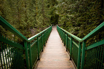 wooden walking trail and footbridge in a forest 