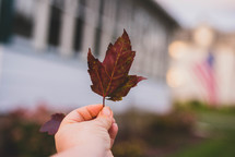 hand holding up a fall leaf 