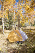 tent at a campsite in a forest 