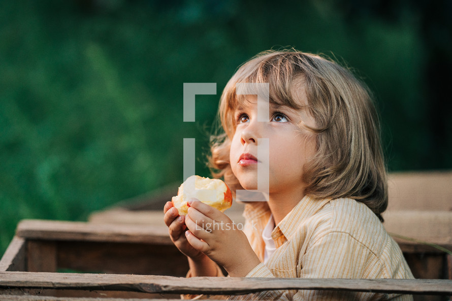 Cute little toddler boy eating ripe red apple in wooden box in orchard. Son in home garden explores plants, nature in autumn countryside. Amazing scene. Family, love, harvest, childhood concept