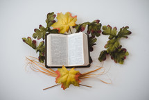 open Bible and fall leaves 