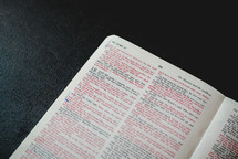 red print on the pages of a Bible 