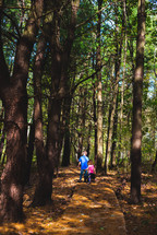kids exploring a forest 