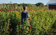 child walking through a field of flowers 