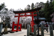 Japanese Garden in spring 