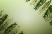 Palm branches for Palm Sunday on green background
