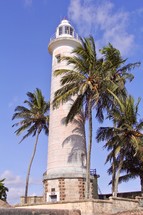 Lighthouse with palm trees 